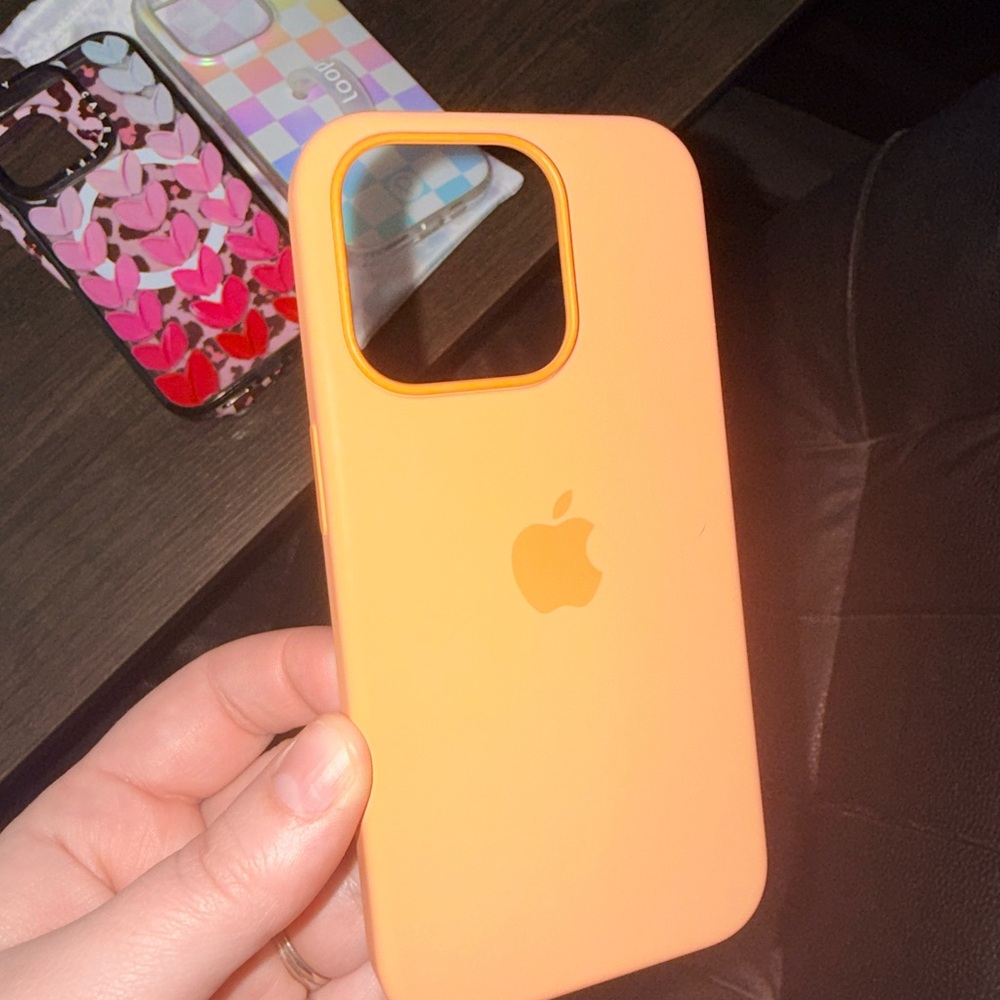 Apple cases iPhone 15 Pro